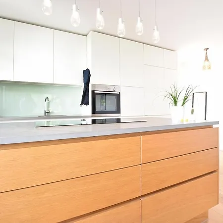Central Spacious W Private Garden And Free Parking * אינסברוק