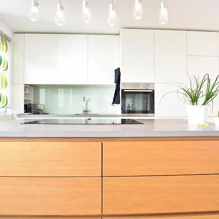 Central Spacious W Private Garden And Free Parking インスブルック